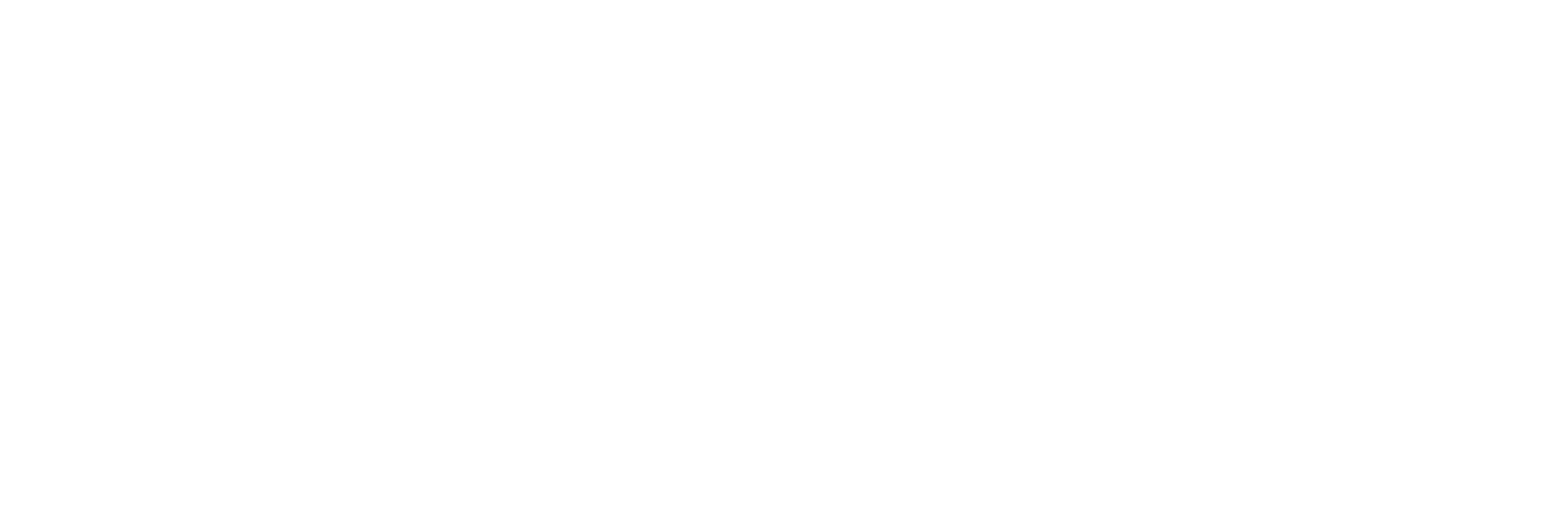 logo blanc aibb monaco