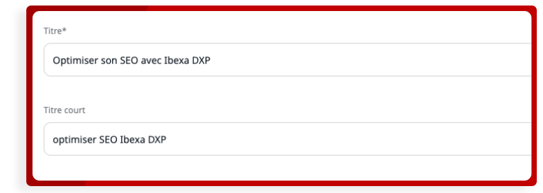 titre-court-ibexa.webp