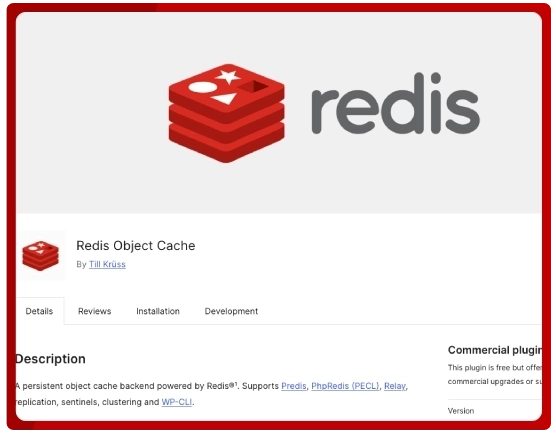 redis cache wordpress aibb